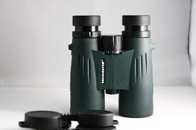 Best Binoculars for Alaska Cruise
